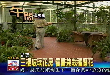 誰能不心動!如此森林玻璃屋