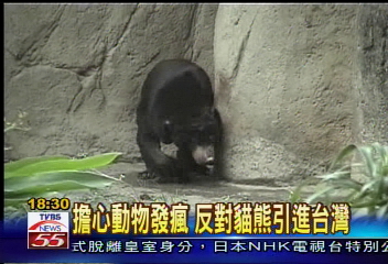 熊瘋了？　動物園繞圈搖頭現跡象