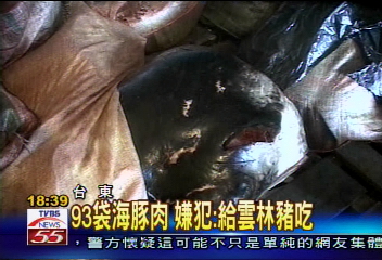 驚見2噸海豚肉 至少15隻被宰
