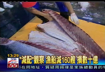 懲濫捕 日提議:我鮪魚配額「歸零」