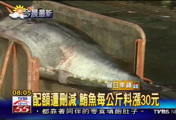 砍配額 百萬人生計難保 漁港直擊