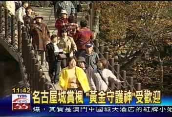 名古屋城賞楓 「黃金守護神」也有票房