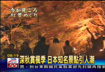 深秋賞楓季　日本知名景點引人潮
