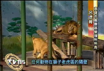 棕熊掉毛?羚羊發瘋?動物園挨批