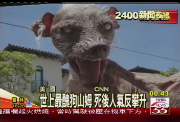 世上最醜狗山姆　死後人氣反攀升