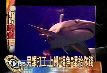 另類打工　上班「摸魚」還給你錢