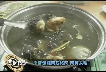另類火鍋!鱷魚火鍋正當紅