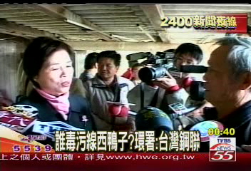 誰毒污線西鴨子？　環署：台灣鋼聯