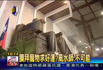 〈獨家〉寵物照片貼銅像旁 館方忙清除