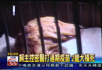 〈獨家〉黑心獸醫！疫苗過期害死2獵犬
