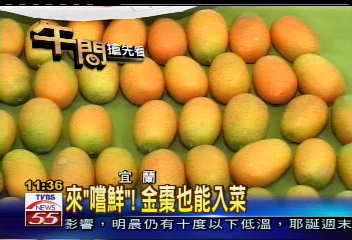 來「嚐鮮」 金棗也能入菜