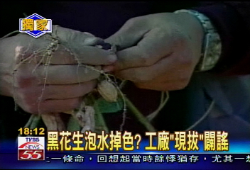 〈獨家〉誤會了！黑花生非黑心染色花生