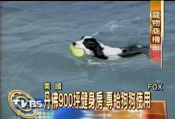 丹佛900坪健身房 專給狗狗使用