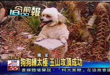 〈獨家〉玉山攻頂「第一狗」 「小不點」獲證書