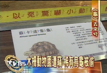 動物園失竊 7隻保育龜被偷