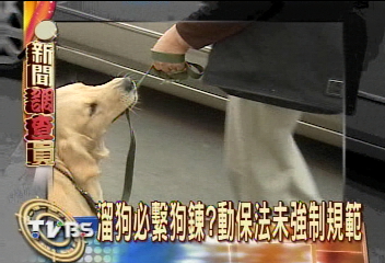 狗撞車狗死人傷　未繫狗鍊飼主有罪