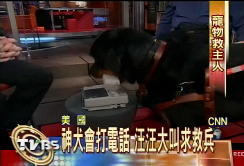 貓打911電話 寵物救主成話題