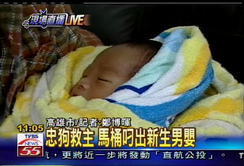 忠狗救主　馬桶叼出新生男嬰