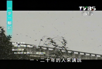 【一步一腳印】等蝶、追蝶　捕捉紫斑蝶美麗瞬間