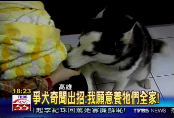 聽到人聲就會舔! 犬救嬰原因曝光