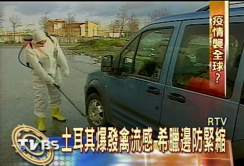 土耳其禽流感3死 疑似病例破百