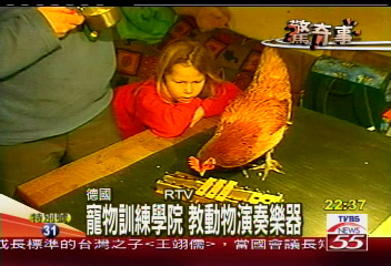 訓練寵物學才藝 貓狗也能彈琴