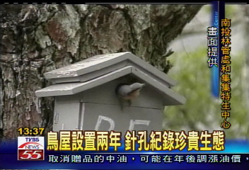 鳥屋設置兩年 針孔紀錄珍貴生態