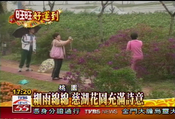 細雨綿綿　慈湖花園充滿詩意