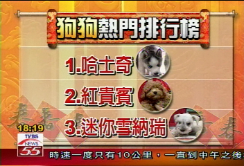 狗年到!寵物狗熱賣 排行大公開