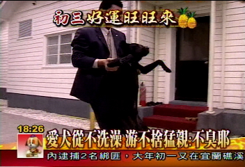 〈獨家〉搶認養! 游家狗狗俱樂部年後解散