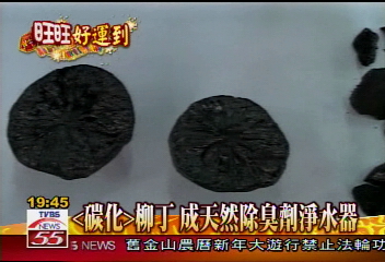 「碳化」柳丁　成天然除臭劑淨水器