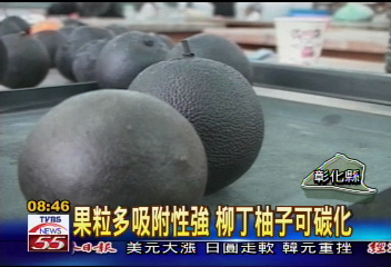 「碳化」柳丁　成天然除臭劑淨水器