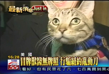 貓咪臥底當偵探 助警方逮假醫生