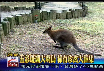 遠離塵囂　休閒農場探索動物世界