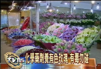 化學藥劑養有色玫瑰　有毒勿碰