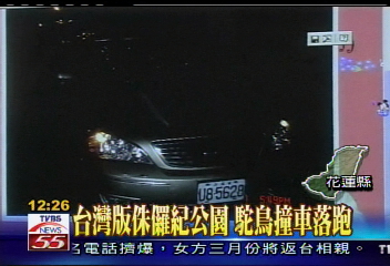 半路被駝鳥撞！車爛　婦人受驚