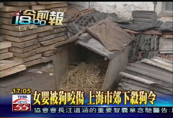 女嬰被狗咬傷 上海市郊下殺狗令