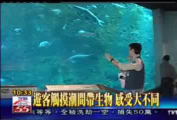 一窺台灣海洋面貌　海生館真實重現