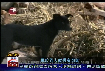 女嬰被狗咬傷 上海市郊下殺狗令
