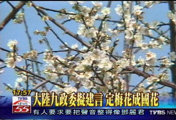 大陸九政委擬建言　定梅花成國花