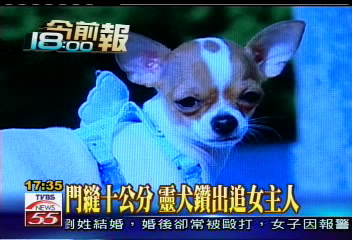 門縫十公分 靈犬鑽出追女主人