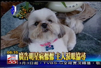 〈獨家〉狗拍檔失蹤 廣告明星犬「病相思」