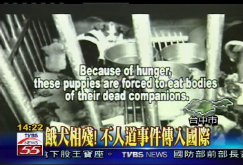 餓犬相殘!不人道事件傳入國際