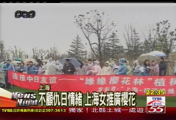 不顧仇日情緒 上海女推廣櫻花