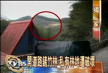 〈獨家〉開道路鏟竹林　私有林地遭破壞