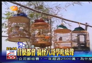 什麼都會　搞怪八哥學吐痰聲