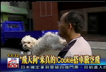 「飛天狗」來真的! Cookie搭車騰空飛