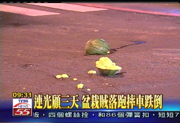 連光顧3天 盆栽賊落跑摔車跌倒