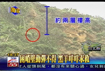 〈獨家〉求救無門 黑羊困峭壁20多天