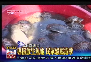專撈放生魚龜 民眾怒罵造孽
